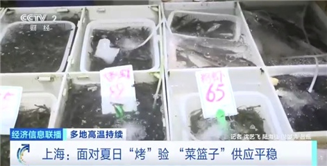 面对夏日“烤”验 上海时令蔬菜、海鲜供应平稳 面对夏日“烤”验 上海时令蔬菜、海鲜供应平稳