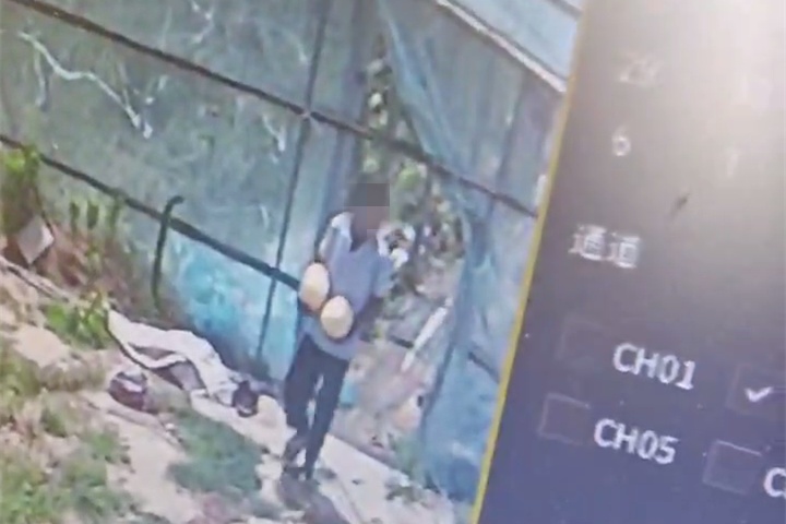 这瓜“好吃”！东营公安：三名“偷瓜贼”被抓！