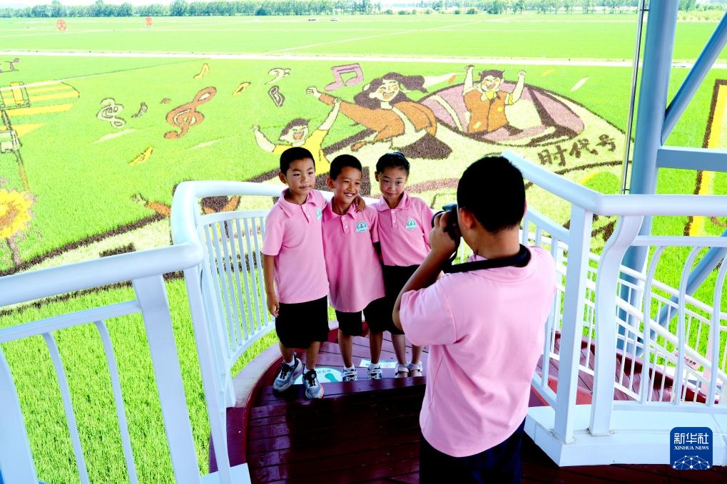 “北大仓”铺展壮美稻田画卷 “北大仓”铺展壮美稻田画卷