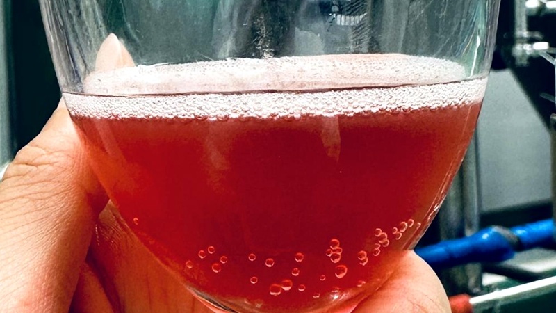 从“水韵江苏”到“水韵尼勒克” 在这里你甚至可以从早“喝”到晚 从“水韵江苏”到“水韵尼勒克” 在这里你甚至可以从早“喝”到晚