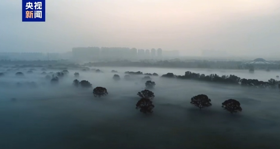 水墨幻境！内蒙古城中草原惊现平流雾奇观