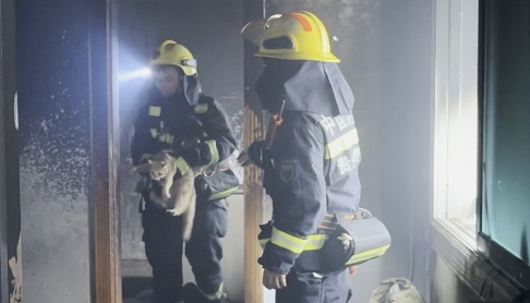 贵阳一民房起火,消防员破拆救出三猫 贵阳一民房起火,消防员破拆救出三猫