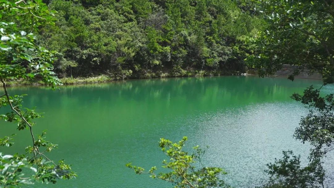 浙江34个市县启动高温橙色预警信号！“浙”些地方自带空调模式