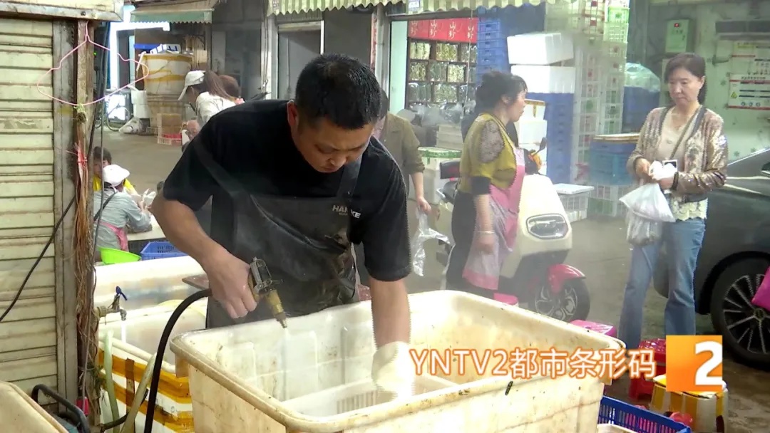旺季一天洗几百上千公斤！云南人“吃出来”的职业开始接单了