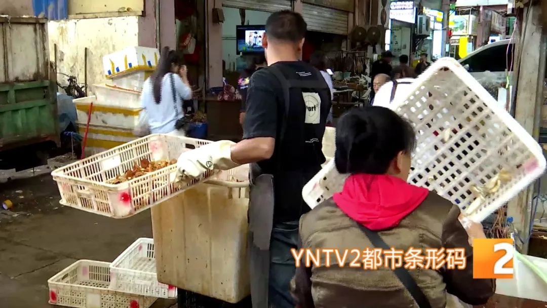 旺季一天洗几百上千公斤！云南人“吃出来”的职业开始接单了