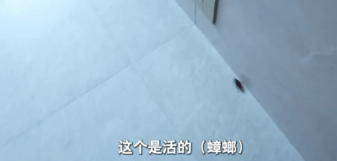 66岁独居老人为拒绝借钱,网购花费200万塞满两套房,只能睡在快递堆 66岁独居老人为拒绝借钱,网购花费200万塞满两套房,只能睡在快递堆