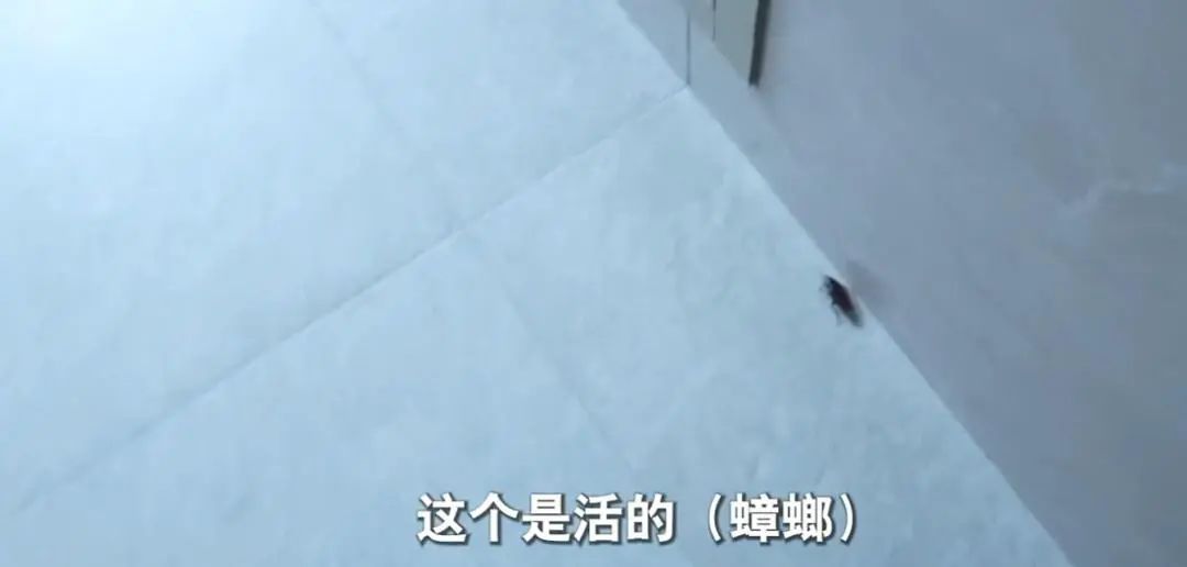 上海一独居老人网购花费200万睡在快递上 专家解读 上海一独居老人网购花费200万睡在快递上 专家解读