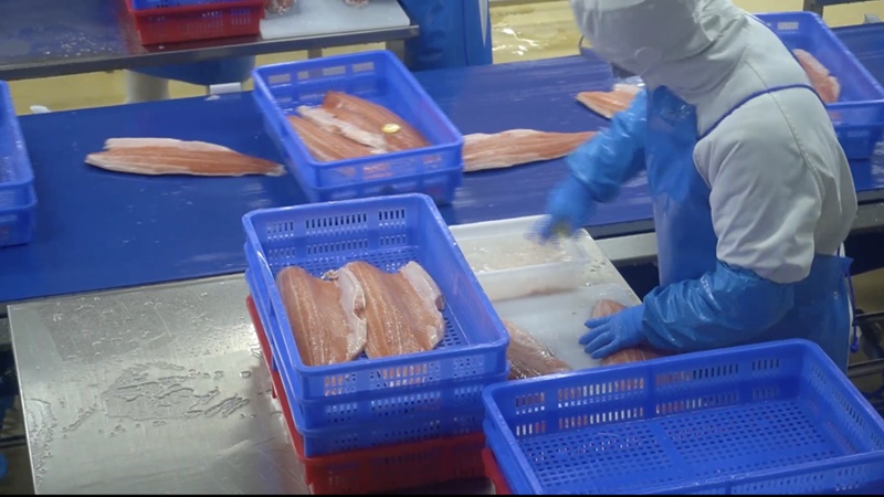 从“水韵江苏”到“水韵尼勒克” 在这里你甚至可以从早“喝”到晚 从“水韵江苏”到“水韵尼勒克” 在这里你甚至可以从早“喝”到晚