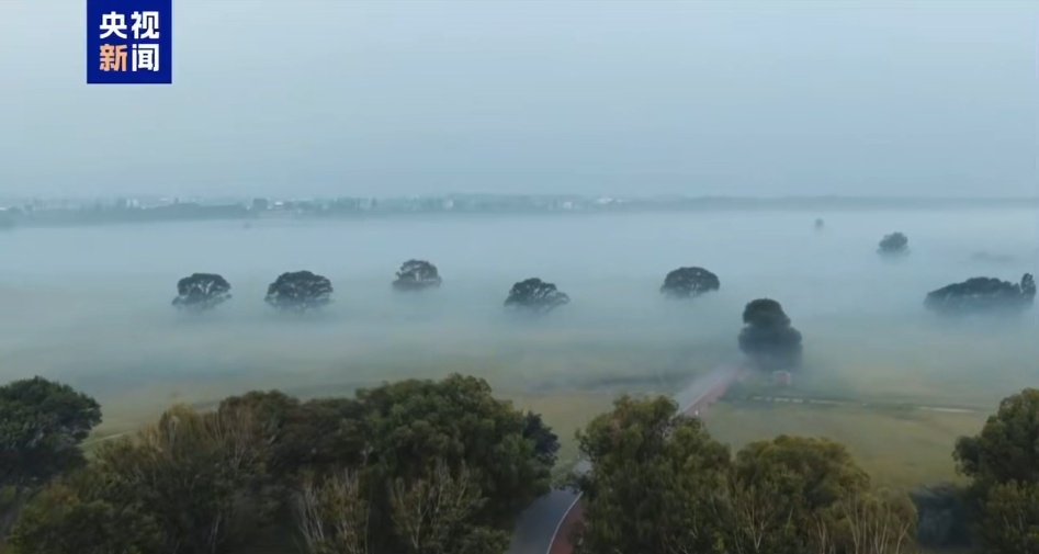 水墨幻境！内蒙古城中草原惊现平流雾奇观