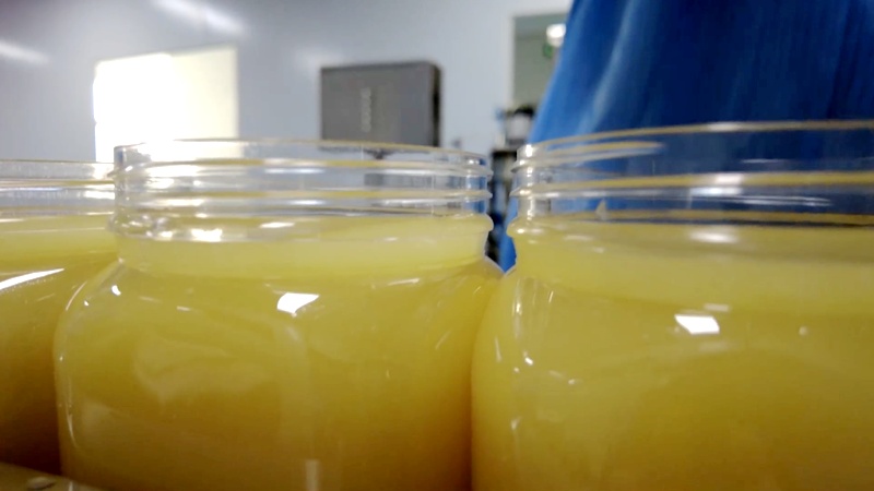 从“水韵江苏”到“水韵尼勒克” 在这里你甚至可以从早“喝”到晚 从“水韵江苏”到“水韵尼勒克” 在这里你甚至可以从早“喝”到晚