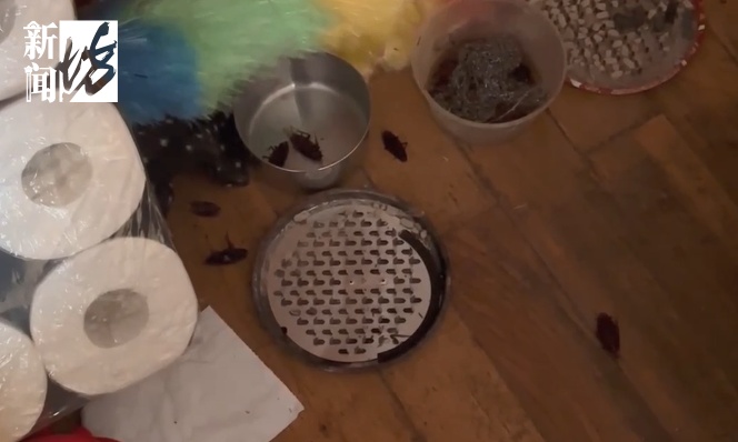 一天50只蟑螂窜出!大家疯狂跺脚!上海独居女子,年轻时光鲜,老了却让家人颜面扫地? 一天50只蟑螂窜出!大家疯狂跺脚!上海独居女子,年轻时光鲜,老了却让家人颜面扫地?