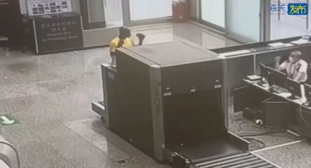 海关查获!男子在体内藏了7颗...已全部排出! 海关查获!男子在体内藏了7颗...已全部排出!