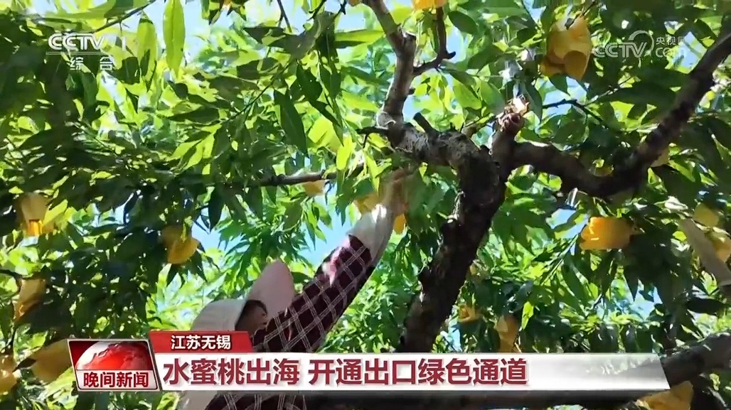 发展特色产业 激活乡村振兴新动能 发展特色产业 激活乡村振兴新动能