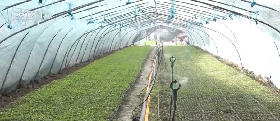 多措并举应对高温“烤”验:防暑降温保生产保民生 为群众安全度夏保驾护航 多措并举应对高温“烤”验:防暑降温保生产保民生 为群众安全度夏保驾护航