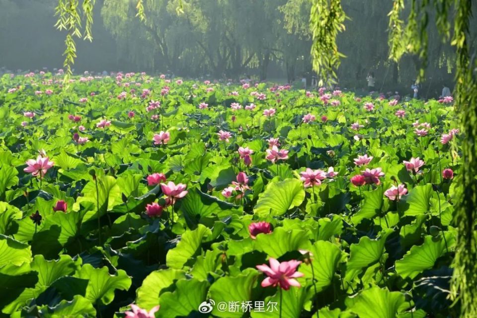 台风再升级！最大强度可达13级！浙江狂风暴雨即将上演