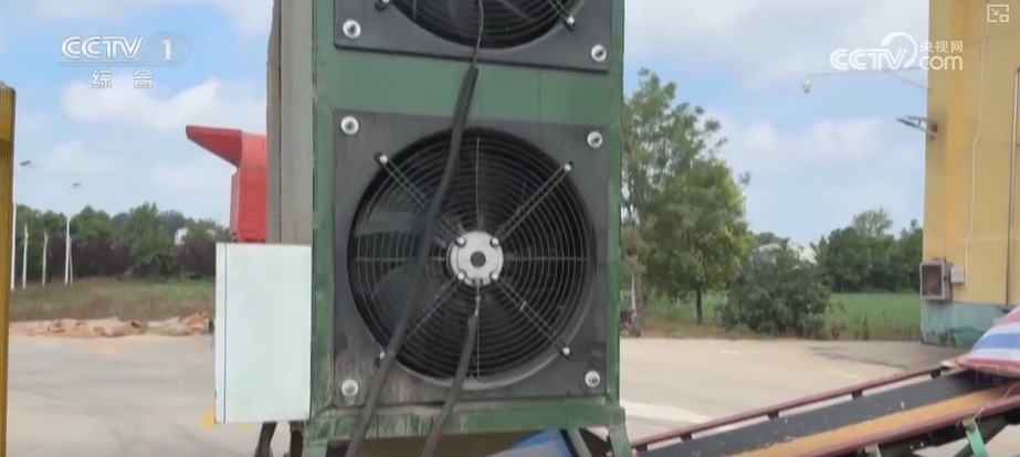 一粒小麦里的党员温度 “党员突击队”下沉收购一线保障夏粮颗粒归仓 一粒小麦里的党员温度 “党员突击队”下沉收购一线保障夏粮颗粒归仓