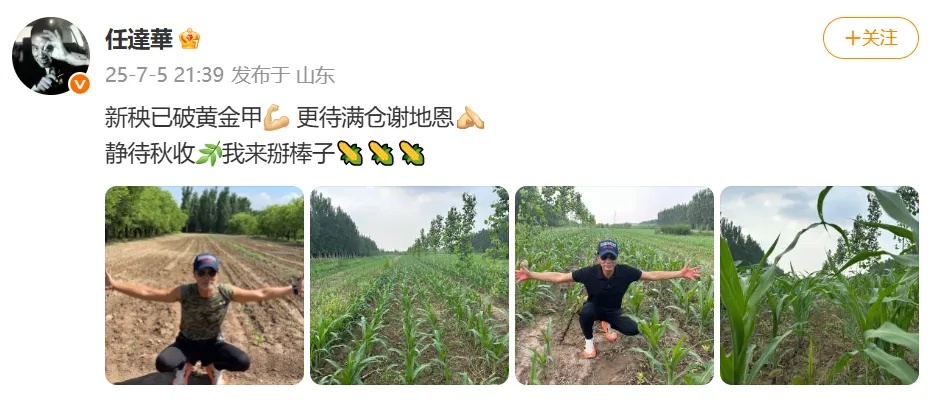70岁影帝任达华在山东老家种玉米:静待秋收,我来掰棒子!上个月刚割了小麦 70岁影帝任达华在山东老家种玉米:静待秋收,我来掰棒子!上个月刚割了小麦