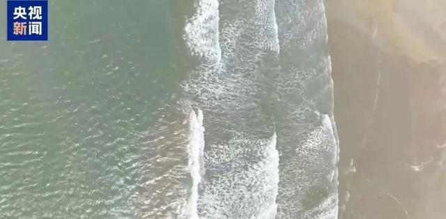 暑假开启,“海货”伤人事件频发!赶海防护必看→ 暑假开启,“海货”伤人事件频发!赶海防护必看→