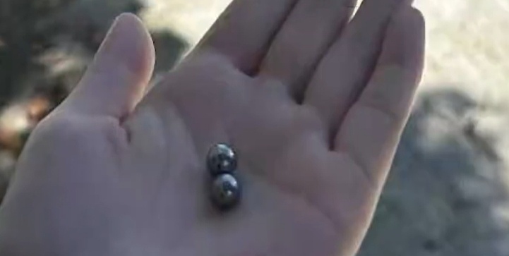 重庆一男子怀疑邻家两只猫咬死自家鸽子叫朋友将猫射杀,二人被行拘 重庆一男子怀疑邻家两只猫咬死自家鸽子叫朋友将猫射杀,二人被行拘