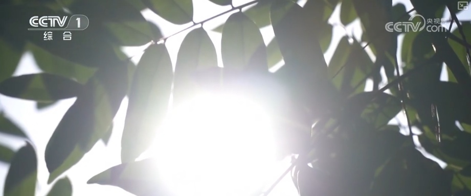 高温之下 吃“冰”也要讲究“科学性” | 夏日安全消暑科普↓