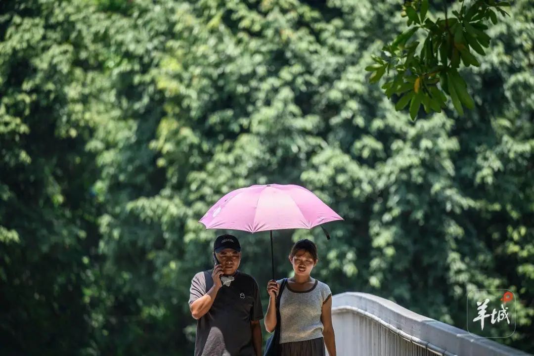 广州多区高温预警信号升级，广东持续被高温“硬控”，台风“丹娜丝”消息→