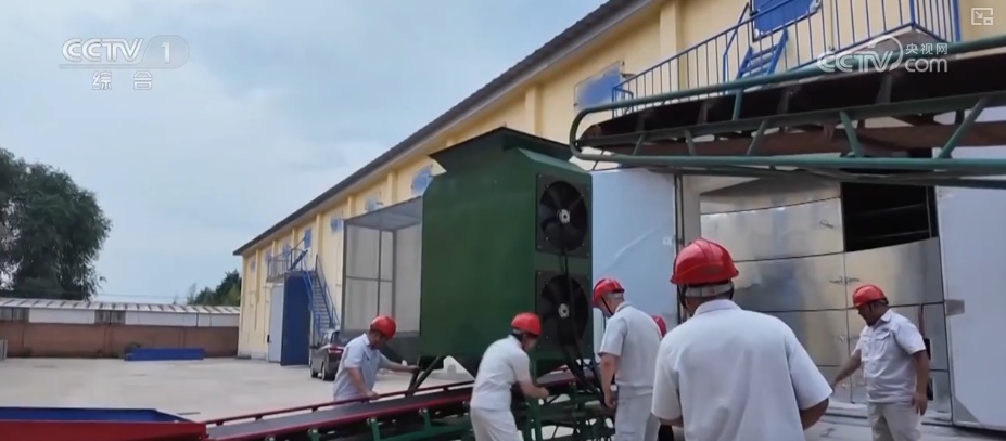 一粒小麦里的党员温度 “党员突击队”下沉收购一线保障夏粮颗粒归仓 一粒小麦里的党员温度 “党员突击队”下沉收购一线保障夏粮颗粒归仓