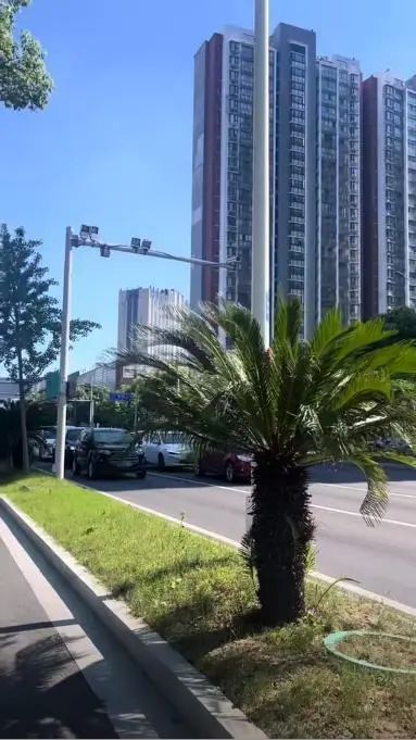 车辆“避晒式”等红灯引争议,交警回应:违法,已有城市对此罚款 车辆“避晒式”等红灯引争议,交警回应:违法,已有城市对此罚款