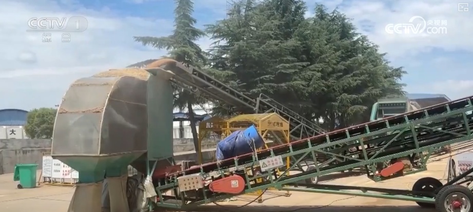 一粒小麦里的党员温度 “党员突击队”下沉收购一线保障夏粮颗粒归仓 一粒小麦里的党员温度 “党员突击队”下沉收购一线保障夏粮颗粒归仓