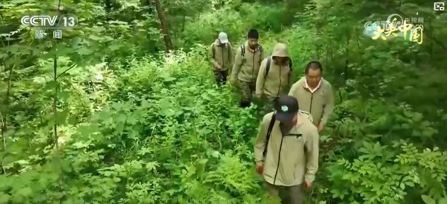 科技助力保护生物多样性 守护珍稀野生动物家园 科技助力保护生物多样性 守护珍稀野生动物家园