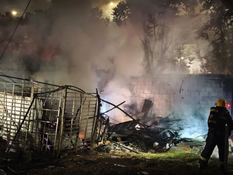 用火烧蚊子?“硬核”大爷另辟蹊径却“翻车” 用火烧蚊子?“硬核”大爷另辟蹊径却“翻车”