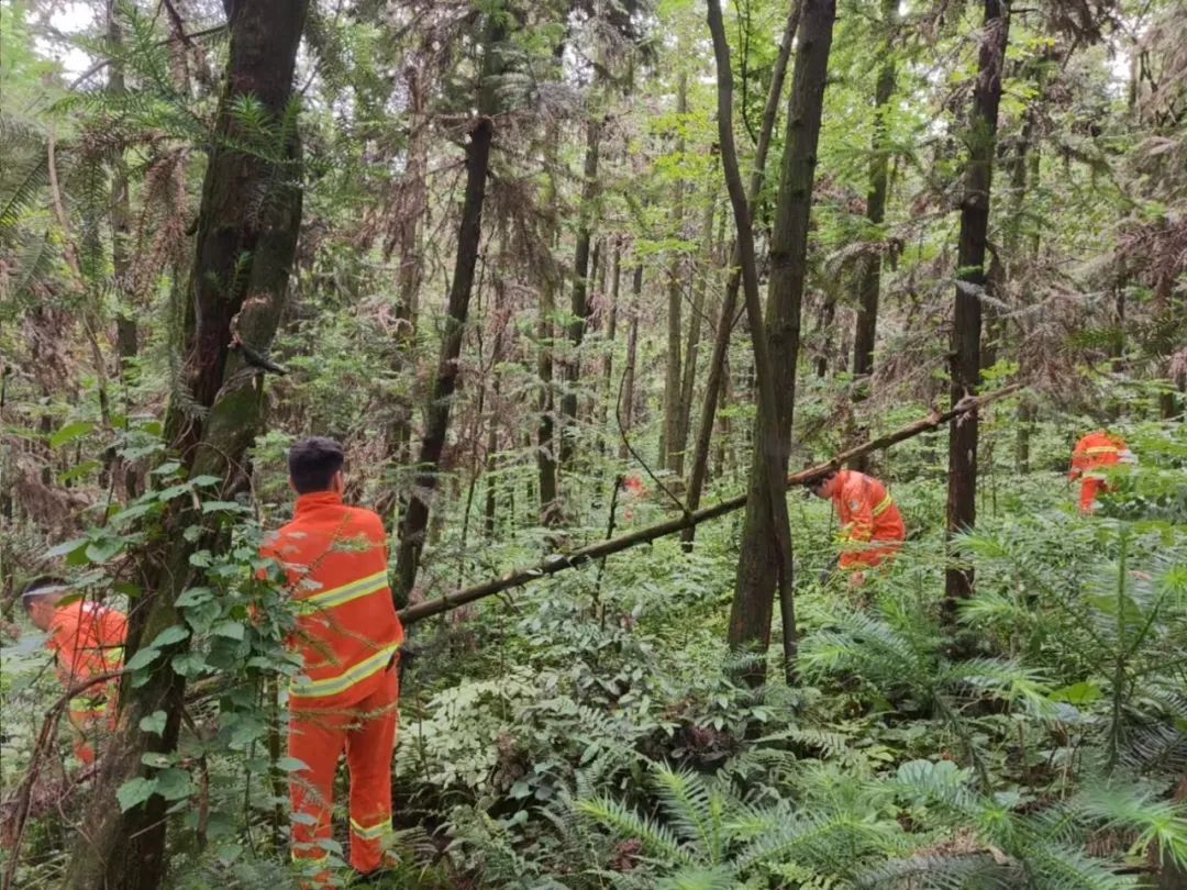 一独居男子失联，110余人次、无人机、警犬通宵搜索