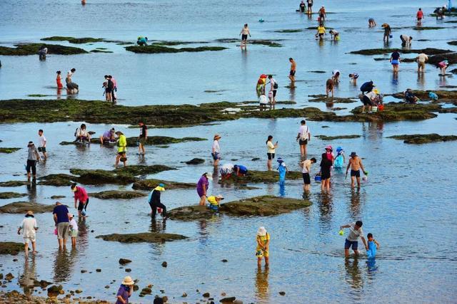 暑假开启,“海货”伤人事件频发!赶海防护必看→ 暑假开启,“海货”伤人事件频发!赶海防护必看→