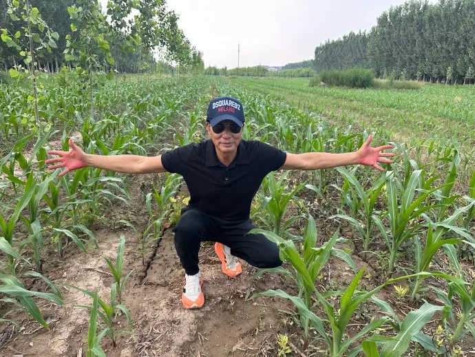 70岁影帝任达华在山东老家种玉米:静待秋收,我来掰棒子!上个月刚割了小麦 70岁影帝任达华在山东老家种玉米:静待秋收,我来掰棒子!上个月刚割了小麦