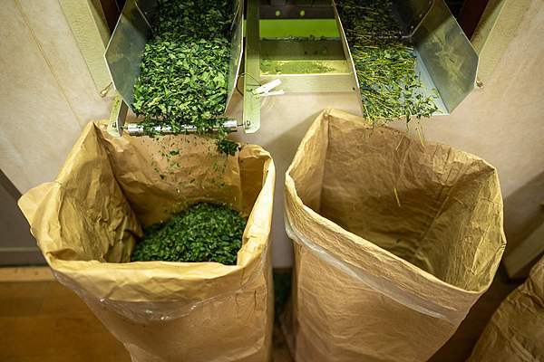抹茶控注意！日本原料减产价格暴涨170% 你的饮料要涨价啦