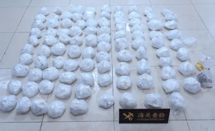 拱北海关查获一起粤港两地牌客车走私99株活体濒危珊瑚进境案 拱北海关查获一起粤港两地牌客车走私99株活体濒危珊瑚进境案