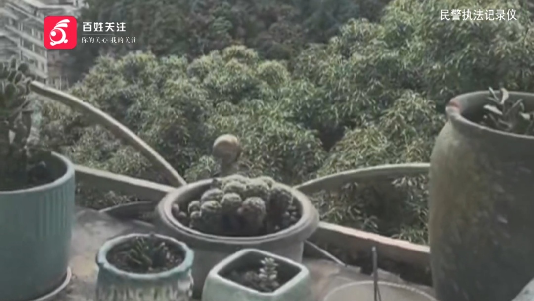 门窗车辆遭“弹击”一月之久！贵阳男子拿弹弓钢珠练准头，害苦了周围住户……