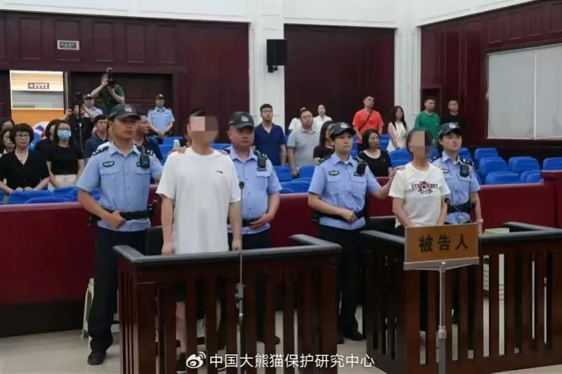 夫妻二人,双双获刑! 夫妻二人,双双获刑!