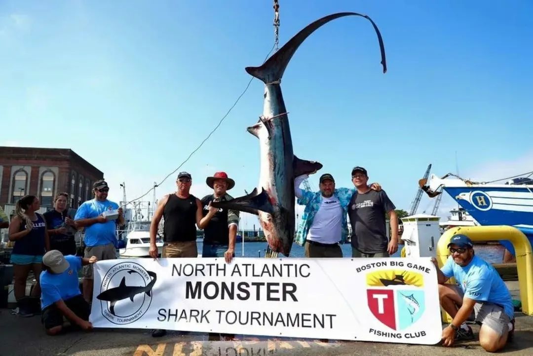 《大白鲨》上映50年，有多少鲨鱼因电影而死？