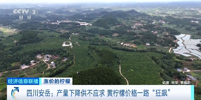 出口订单爆了！它，价格“狂飙”！