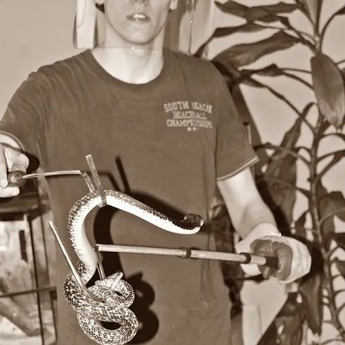 蛇能喷出2.5米远的毒液，这是专门为人准备的