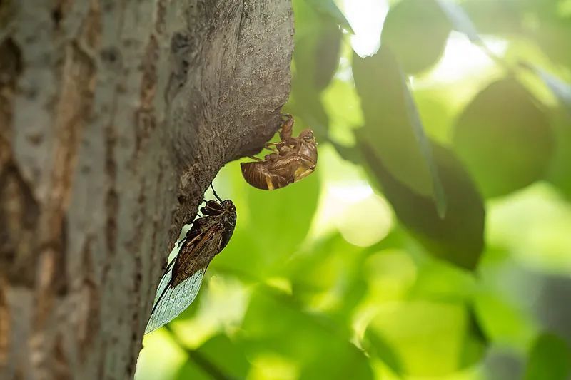 今天4时04分，陕西已正式进入……