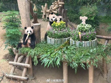 福宝双胞胎妹妹2岁了 ! 福宝双胞胎妹妹2岁了 !