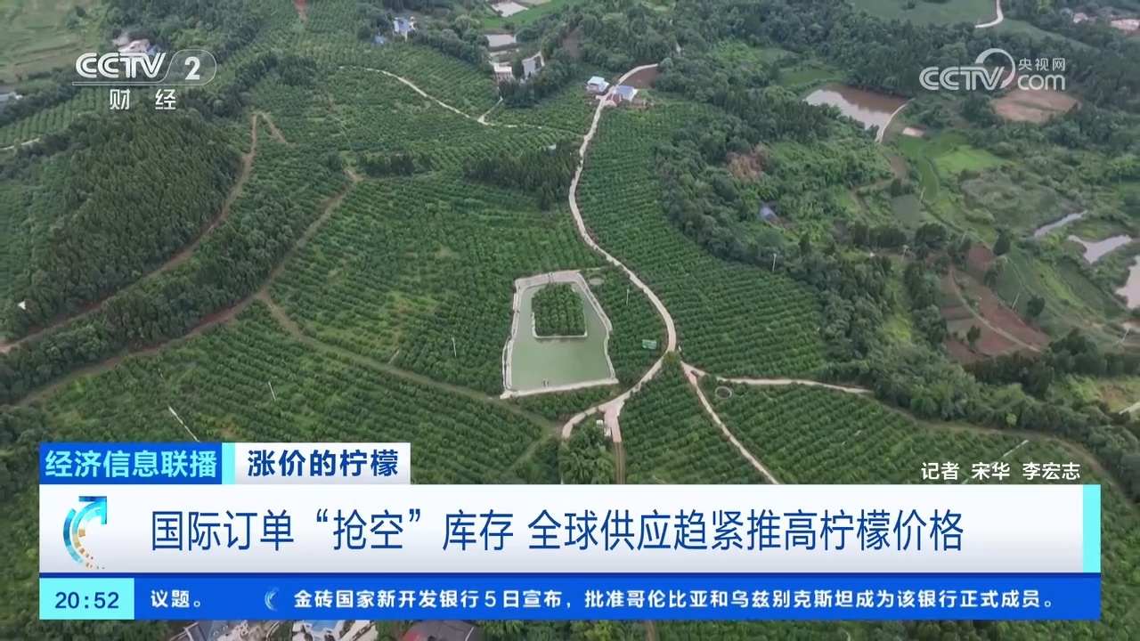 国际订单“抢空”库存 全球供应趋紧推高柠檬价格 国际订单“抢空”库存 全球供应趋紧推高柠檬价格