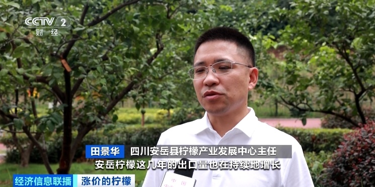 出口订单爆了！它，价格“狂飙”！