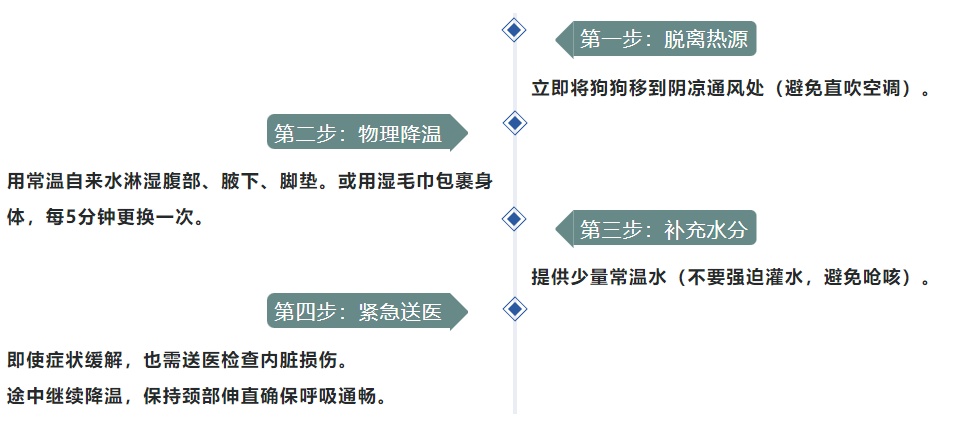 “大头”执行完任务突然倒地不起,一句“老伙计”全网泪目 “大头”执行完任务突然倒地不起,一句“老伙计”全网泪目