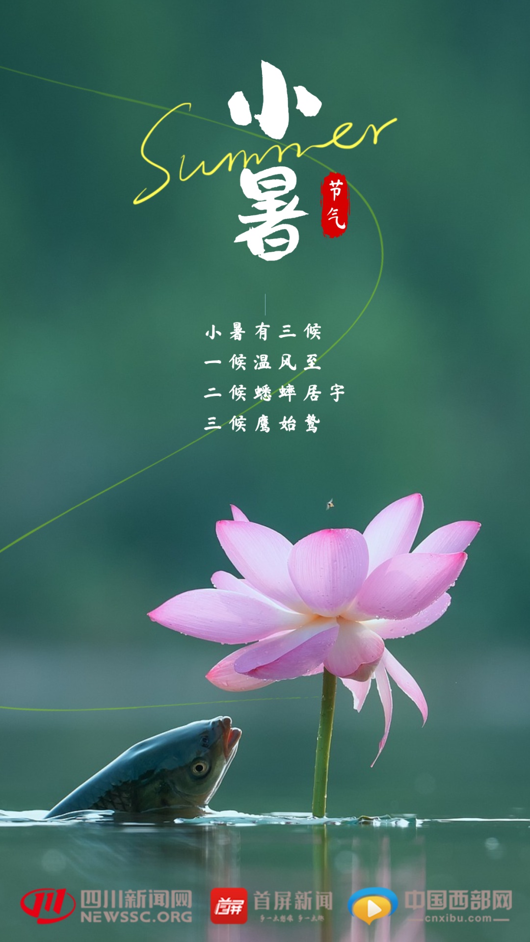 今日小暑,近十年最短三伏将至 今日小暑,近十年最短三伏将至