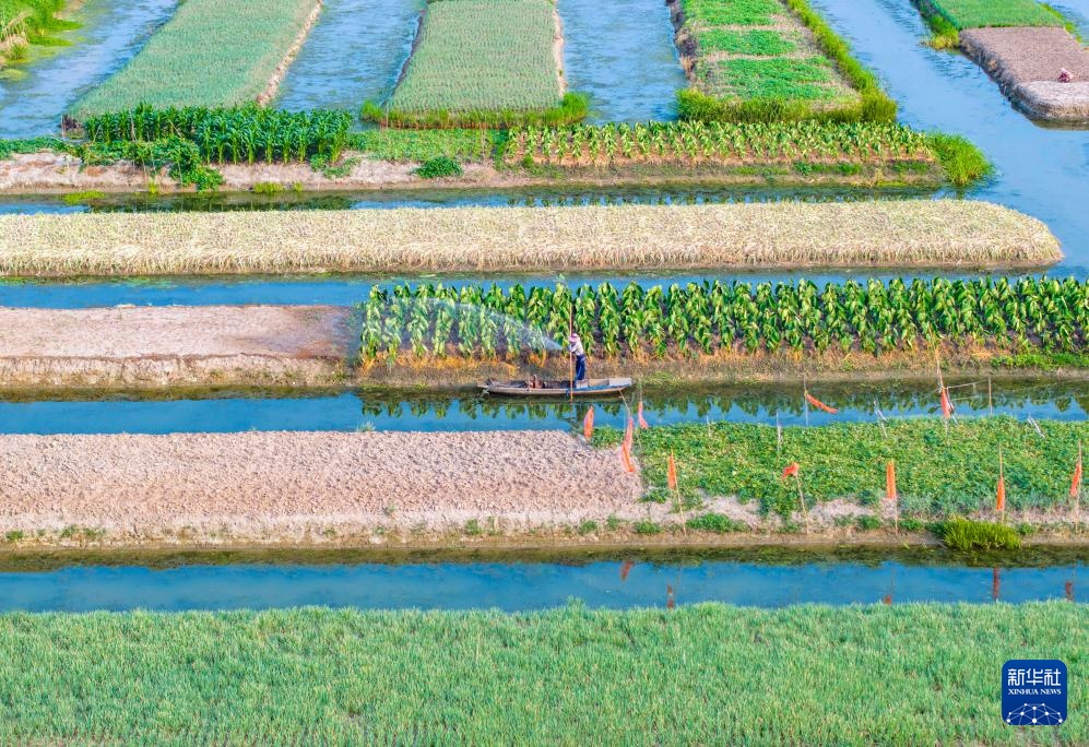 挥汗小暑 耕耘希望 挥汗小暑 耕耘希望