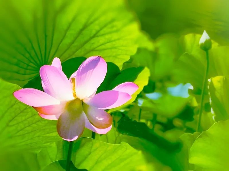 今天4时04分，陕西已正式进入……