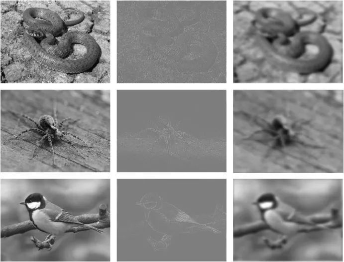 蛇能喷出2.5米远的毒液，这是专门为人准备的