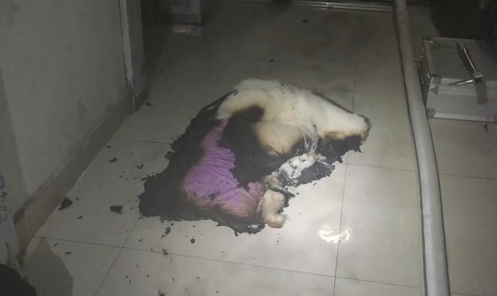 又一起!新买的充电器烧了家,你的拔没拔? 又一起!新买的充电器烧了家,你的拔没拔?